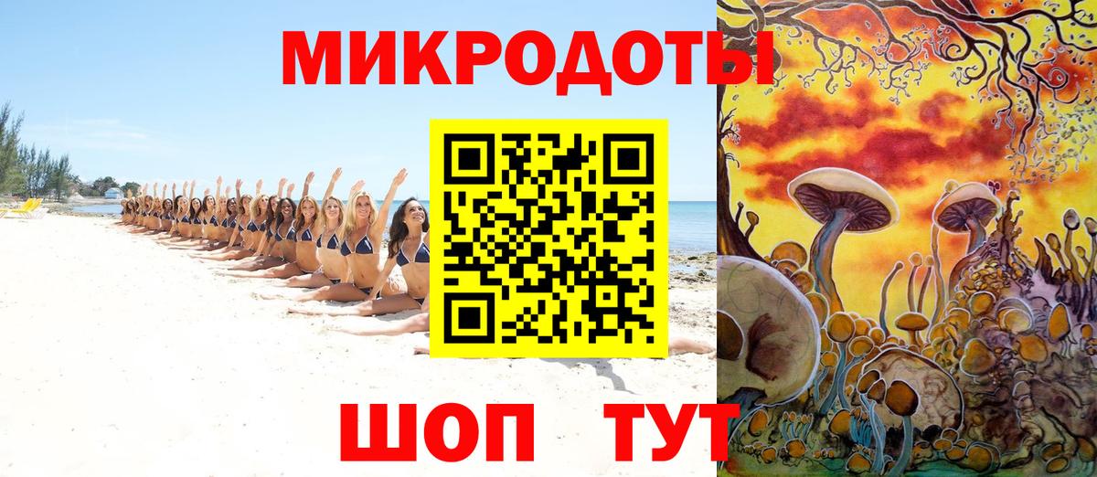 Татарск  хочу   Вход с VPN  Псилоцибиновые грибы Psilocybine cubensis 